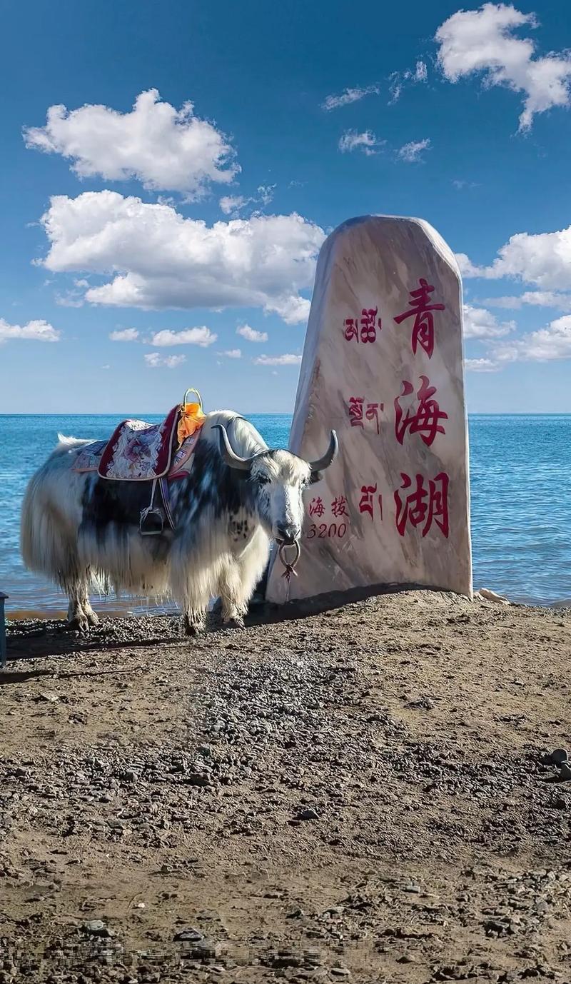 大通文化常识(大计 文化常识)-第2张图片-牛逼常识网 大通文化常识(大计 文化常识)-第2张图片-牛逼常识网