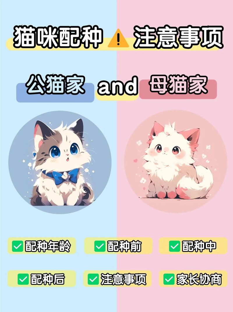 公猫配种常识(公猫配种要注意什么)-第4张图片-牛逼常识网 公猫配种常识(公猫配种要注意什么)-第4张图片-牛逼常识网