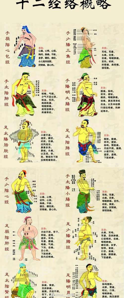 中医常识大全配图（中医常识书单爆款）