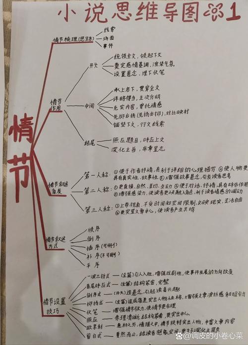 小说知识点整理（小说常识知识点）