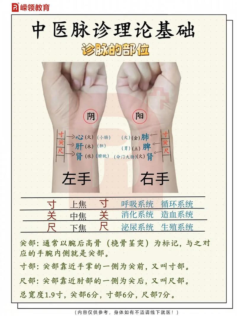 痤疮常识判断,痤疮如何判断-第7张图片-牛逼常识网 痤疮常识判断,痤疮如何判断-第7张图片-牛逼常识网