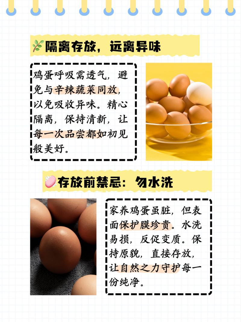 鸡蛋存放常识(鸡蛋储存时应如何放置)-第5张图片-牛逼常识网 鸡蛋存放常识(鸡蛋储存时应如何放置)-第5张图片-牛逼常识网