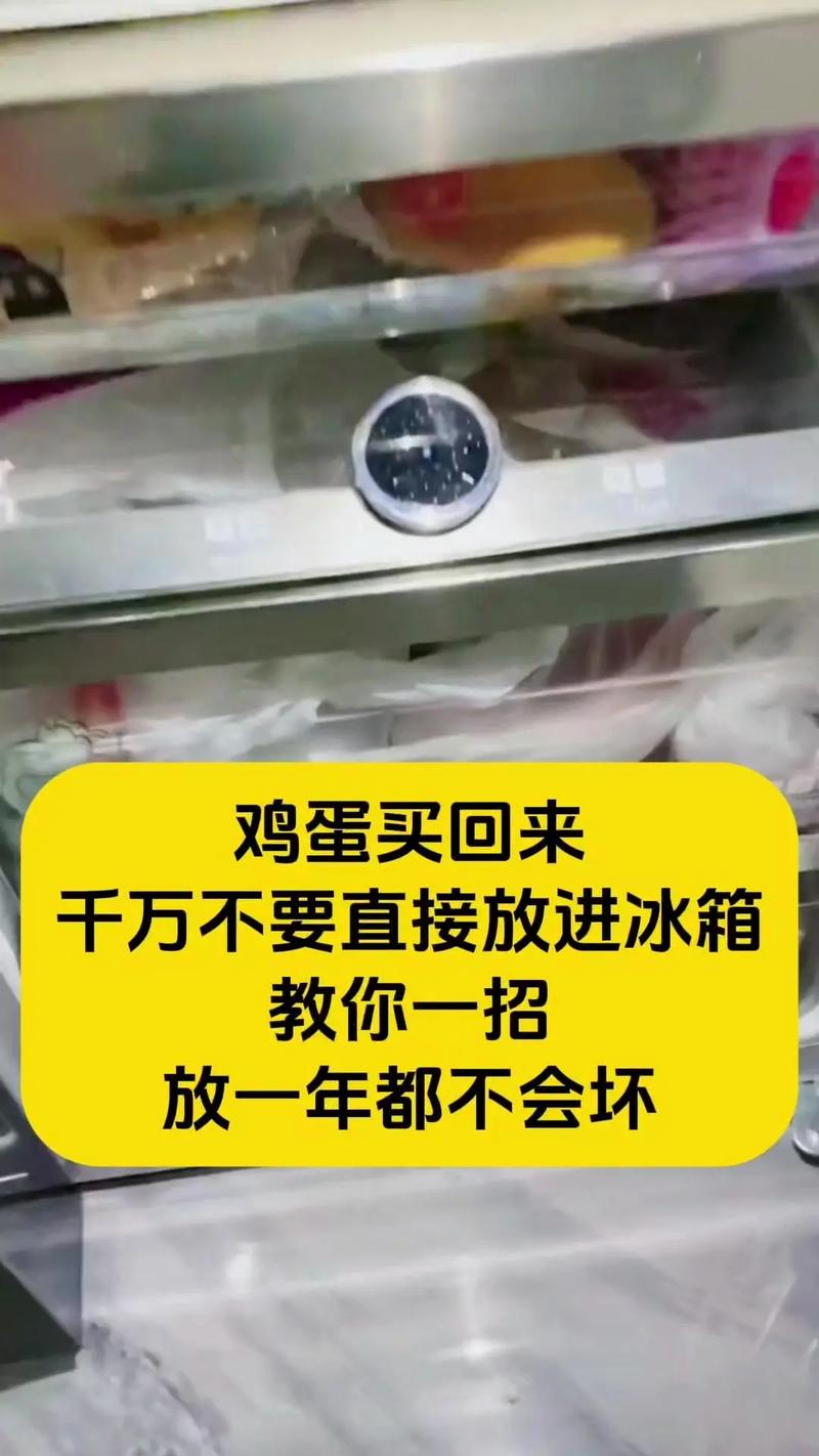 鸡蛋存放常识(鸡蛋储存时应如何放置)-第6张图片-牛逼常识网 鸡蛋存放常识(鸡蛋储存时应如何放置)-第6张图片-牛逼常识网