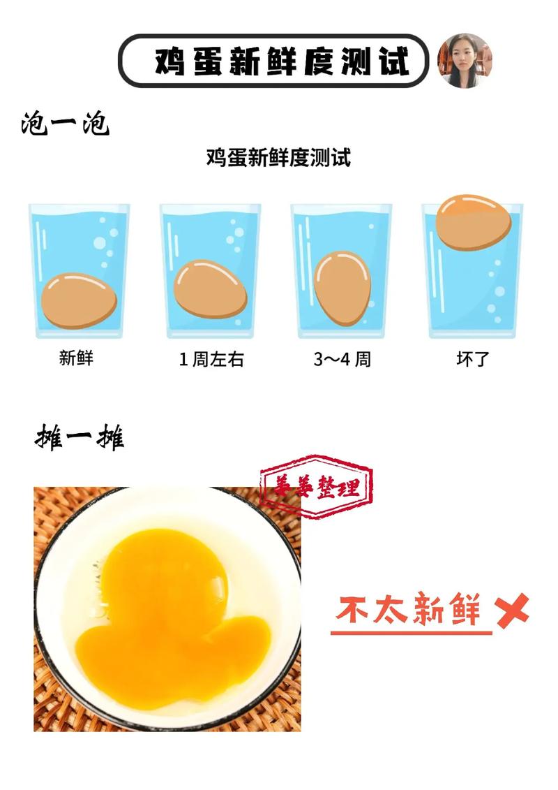 鸡蛋存放常识(鸡蛋储存时应如何放置)-第7张图片-牛逼常识网 鸡蛋存放常识(鸡蛋储存时应如何放置)-第7张图片-牛逼常识网