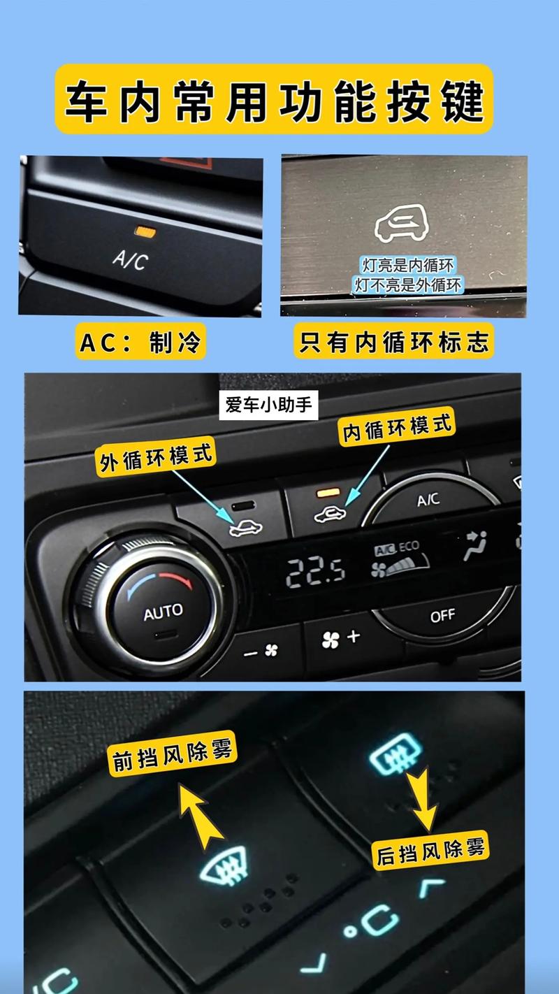 循环系统常识 - 循环系统的介绍-第2张图片-牛逼常识网 循环系统常识 - 循环系统的介绍-第2张图片-牛逼常识网