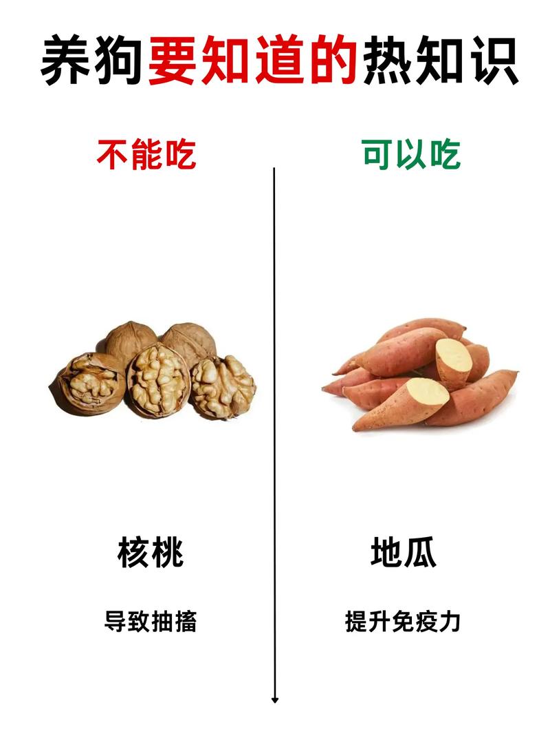 热知识和常识 - 知识热点-第4张图片-牛逼常识网 热知识和常识 - 知识热点-第4张图片-牛逼常识网