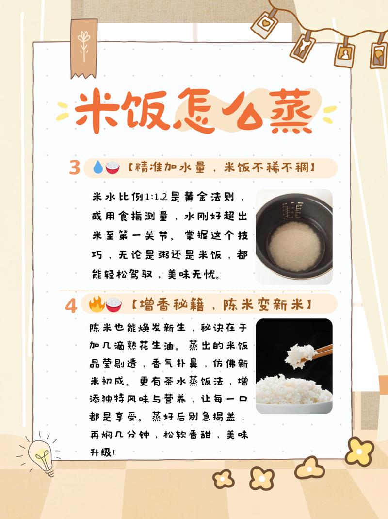 蒸米饭小常识(蒸米饭的多种做法)-第5张图片-牛逼常识网 蒸米饭小常识(蒸米饭的多种做法)-第5张图片-牛逼常识网