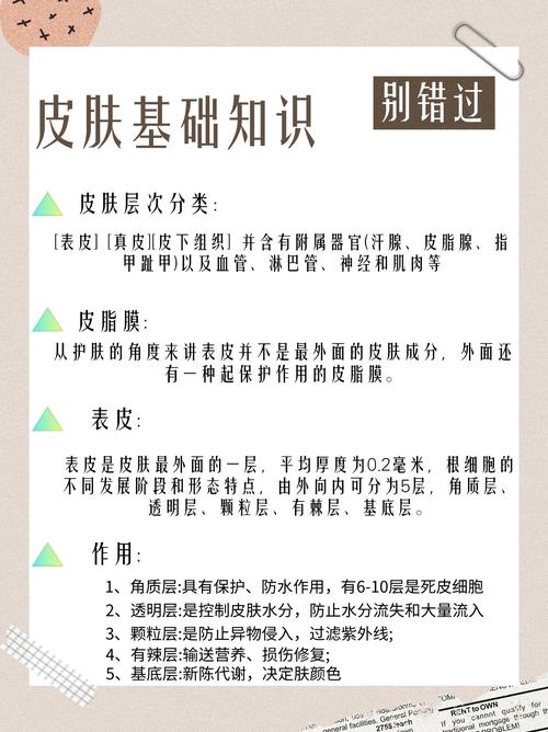 生活小常识皮肤 - 皮肤小知识文字和图片-第2张图片-牛逼常识网 生活小常识皮肤 - 皮肤小知识文字和图片-第2张图片-牛逼常识网