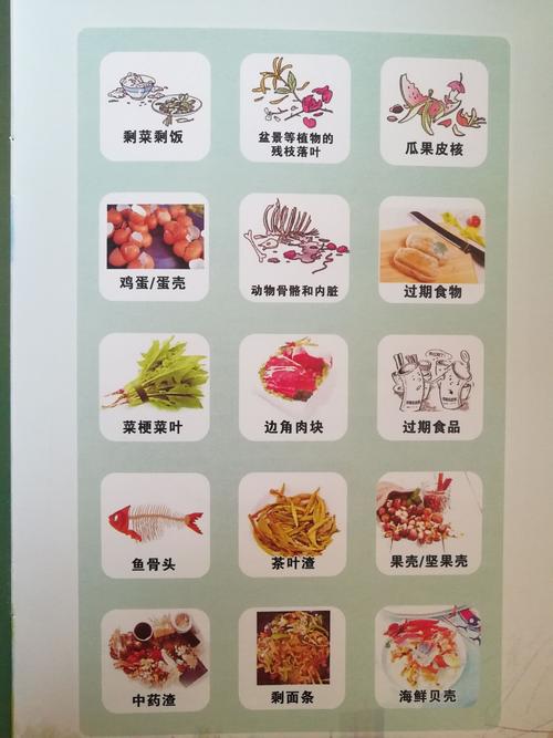 厨余垃圾常识(厨余垃圾的常识)-第4张图片-牛逼常识网 厨余垃圾常识(厨余垃圾的常识)-第4张图片-牛逼常识网