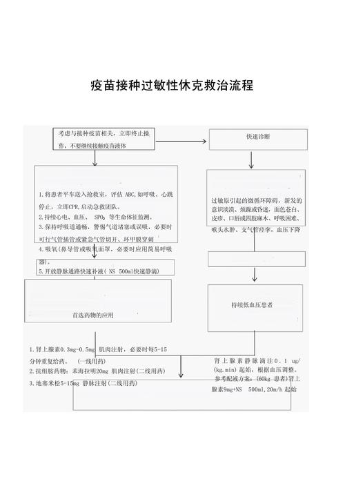 静脉注射常识,静脉注射的操作要点和步骤-第1张图片-牛逼常识网 静脉注射常识,静脉注射的操作要点和步骤-第1张图片-牛逼常识网