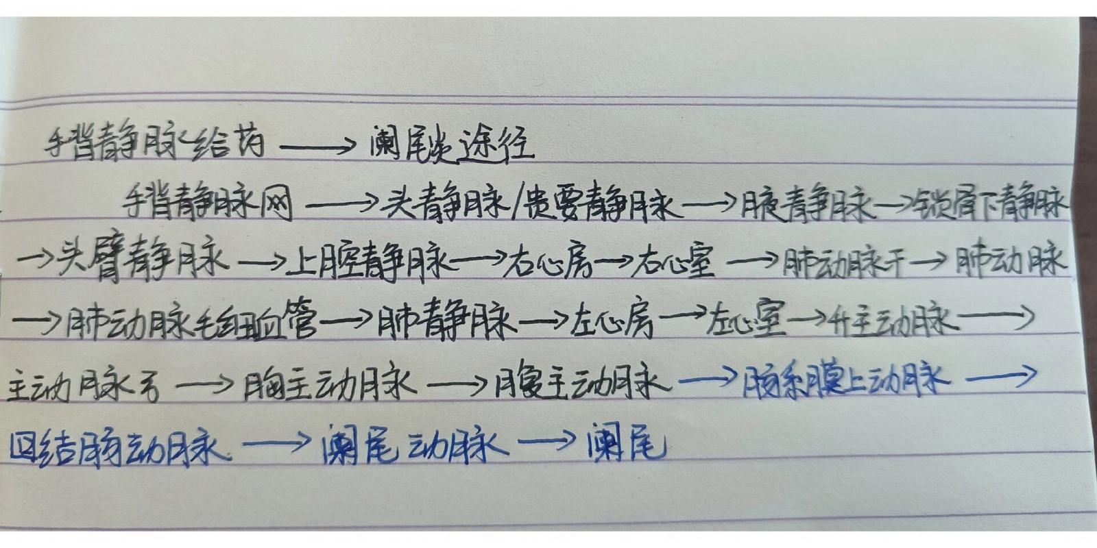 静脉注射常识,静脉注射的操作要点和步骤-第3张图片-牛逼常识网 静脉注射常识,静脉注射的操作要点和步骤-第3张图片-牛逼常识网