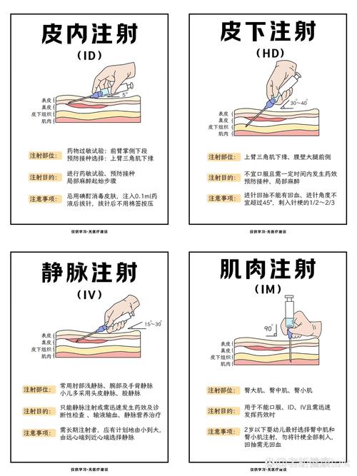 静脉注射常识,静脉注射的操作要点和步骤-第6张图片-牛逼常识网 静脉注射常识,静脉注射的操作要点和步骤-第6张图片-牛逼常识网