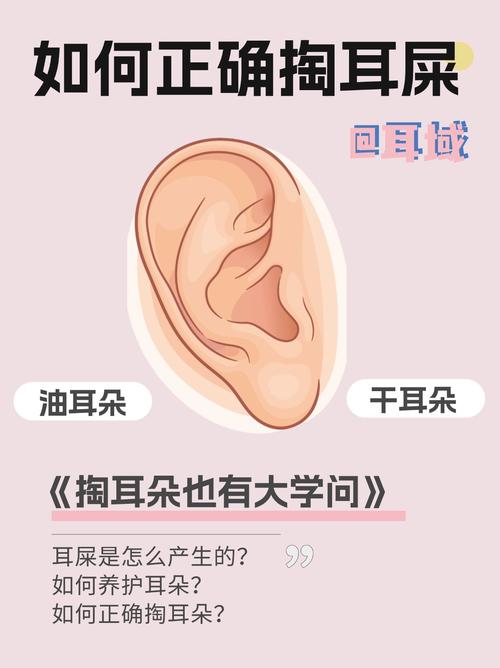 掏耳朵小常识 - 掏耳朵有什么好的方法-第6张图片-牛逼常识网 掏耳朵小常识 - 掏耳朵有什么好的方法-第6张图片-牛逼常识网