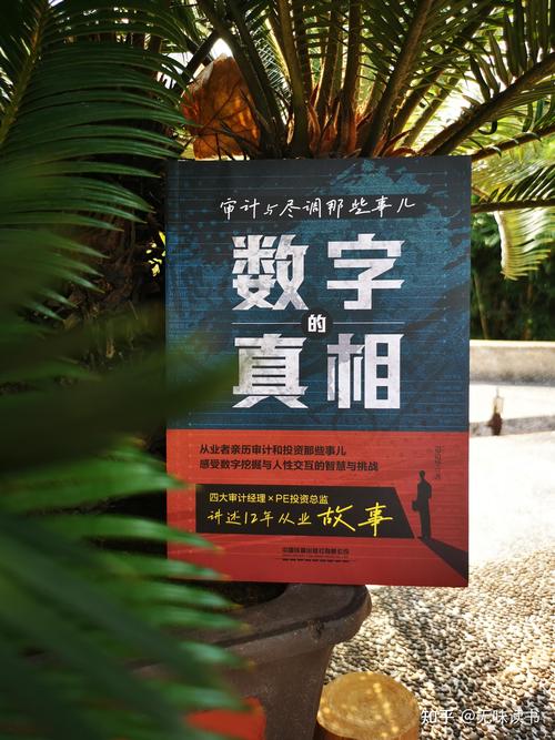 内部审计常识 - 内部审计入门-第2张图片-牛逼常识网 内部审计常识 - 内部审计入门-第2张图片-牛逼常识网