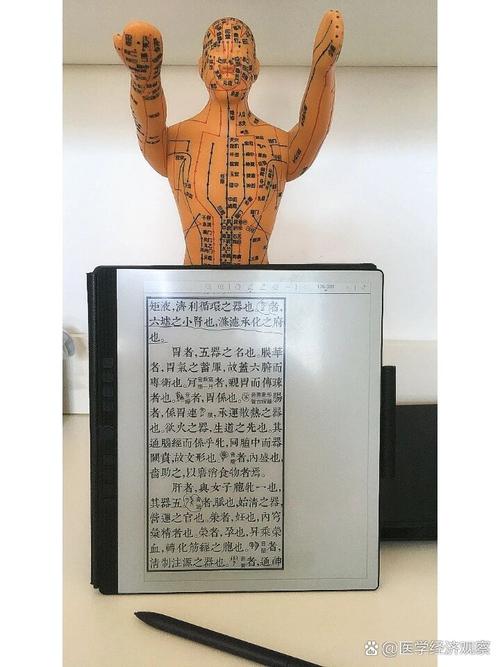 中医解剖常识 - 中医解剖学的基本知识-第1张图片-牛逼常识网 中医解剖常识 - 中医解剖学的基本知识-第1张图片-牛逼常识网