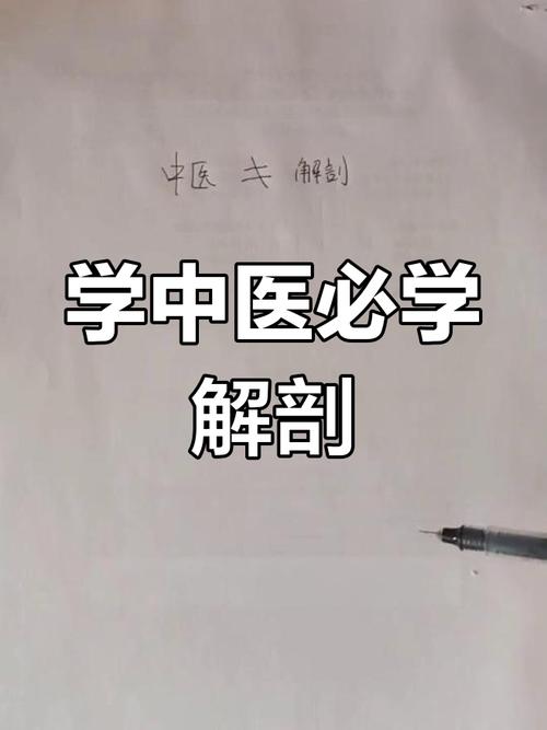 中医解剖常识 - 中医解剖学的基本知识-第6张图片-牛逼常识网 中医解剖常识 - 中医解剖学的基本知识-第6张图片-牛逼常识网