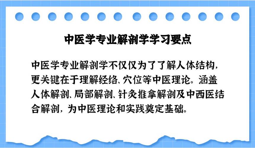 中医解剖常识 - 中医解剖学的基本知识-第8张图片-牛逼常识网 中医解剖常识 - 中医解剖学的基本知识-第8张图片-牛逼常识网