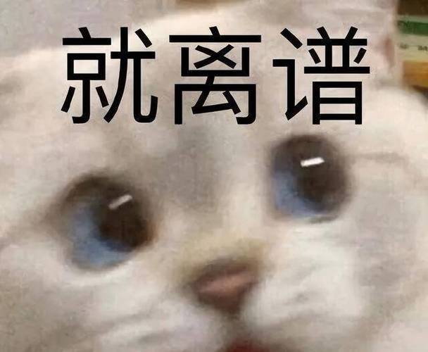 生活常识离谱,生活常识集锦-第1张图片-牛逼常识网 生活常识离谱,生活常识集锦-第1张图片-牛逼常识网
