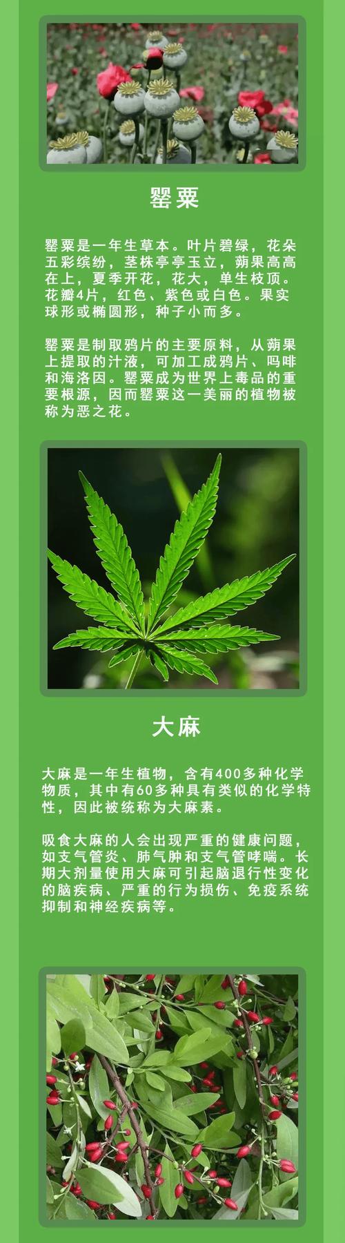生活常识离谱,生活常识集锦-第2张图片-牛逼常识网 生活常识离谱,生活常识集锦-第2张图片-牛逼常识网