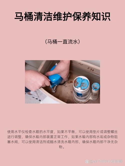 包含马桶保养常识的词条-第1张图片-牛逼常识网 包含马桶保养常识的词条-第1张图片-牛逼常识网