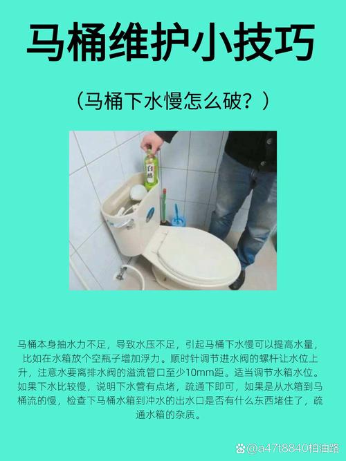 包含马桶保养常识的词条-第5张图片-牛逼常识网 包含马桶保养常识的词条-第5张图片-牛逼常识网