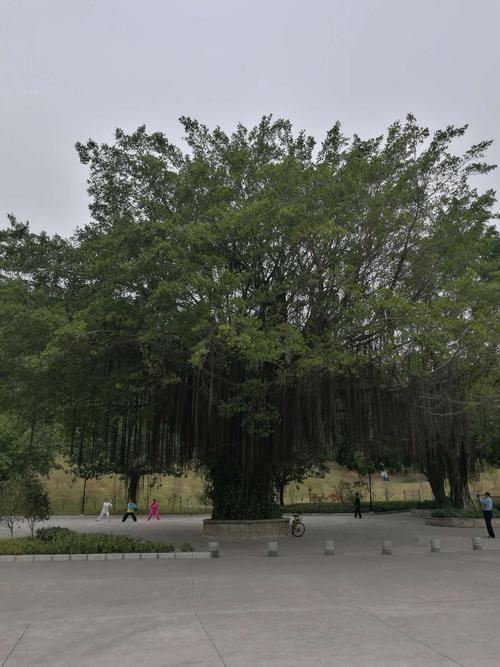 栏楯文化常识(文化常识百科大全)-第2张图片-牛逼常识网 栏楯文化常识(文化常识百科大全)-第2张图片-牛逼常识网