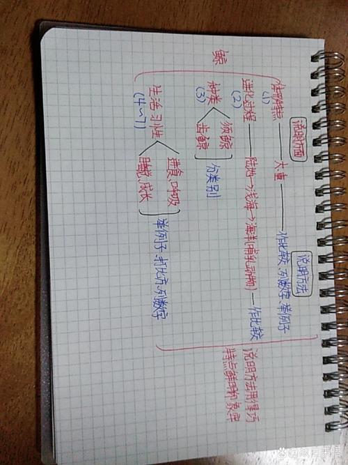 鲸是一篇常识性 - 鲸是一篇什么文章-第1张图片-牛逼常识网 鲸是一篇常识性 - 鲸是一篇什么文章-第1张图片-牛逼常识网