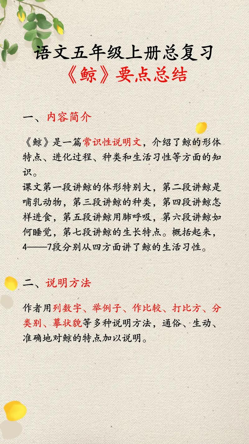 鲸是一篇常识性 - 鲸是一篇什么文章-第4张图片-牛逼常识网 鲸是一篇常识性 - 鲸是一篇什么文章-第4张图片-牛逼常识网