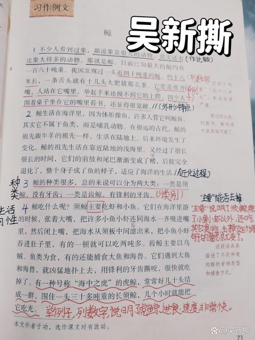 鲸是一篇常识性 - 鲸是一篇什么文章-第5张图片-牛逼常识网 鲸是一篇常识性 - 鲸是一篇什么文章-第5张图片-牛逼常识网