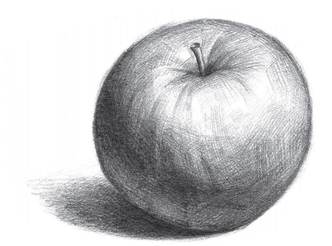 学素描的常识(学素描过程)-第3张图片-牛逼常识网 学素描的常识(学素描过程)-第3张图片-牛逼常识网