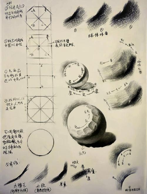 学素描的常识(学素描过程)-第4张图片-牛逼常识网 学素描的常识(学素描过程)-第4张图片-牛逼常识网