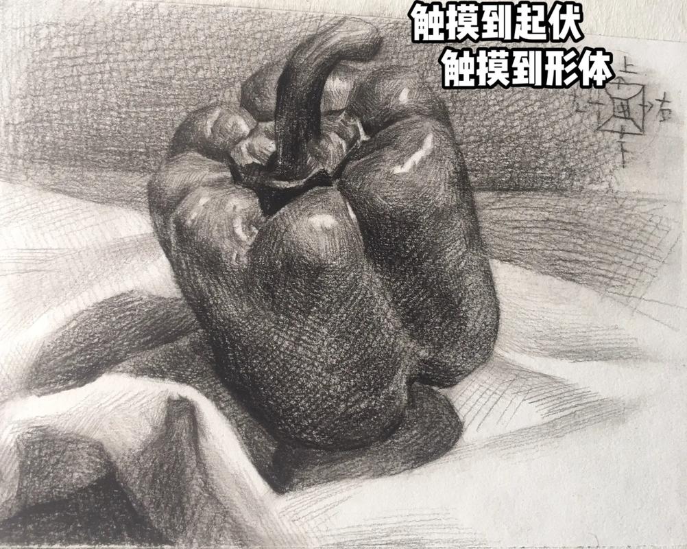 学素描的常识(学素描过程)-第5张图片-牛逼常识网 学素描的常识(学素描过程)-第5张图片-牛逼常识网