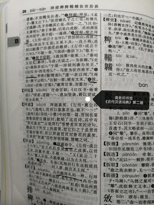 拜的文言文意思及例句（拜古文的意思）