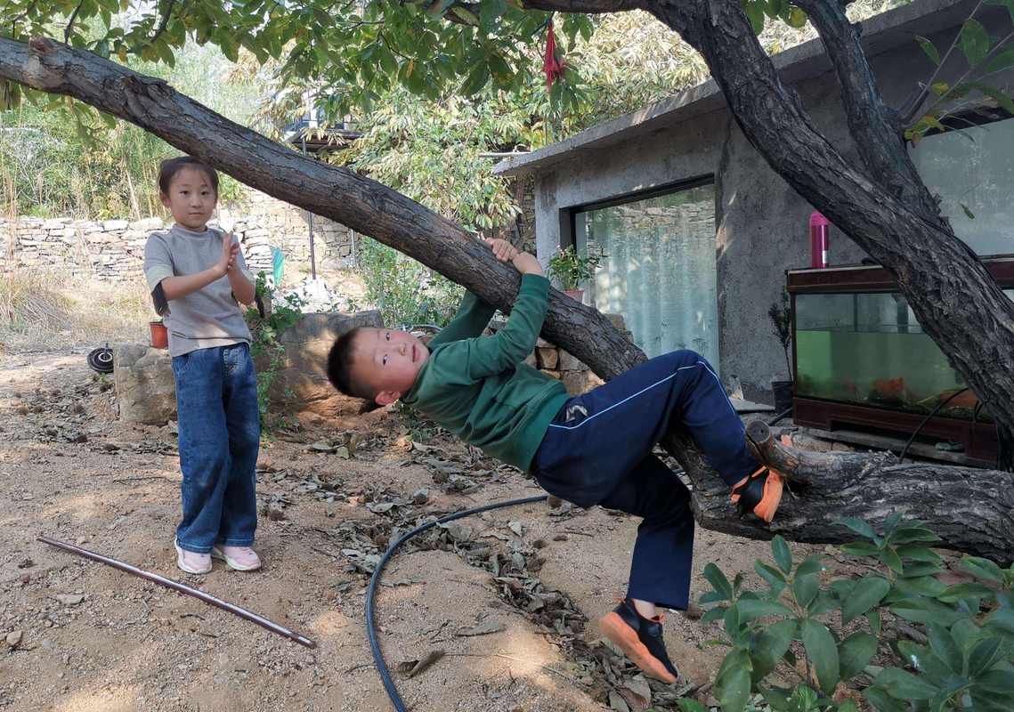 选树栽树常识(选树苗有什么要求)-第2张图片-牛逼常识网 选树栽树常识(选树苗有什么要求)-第2张图片-牛逼常识网