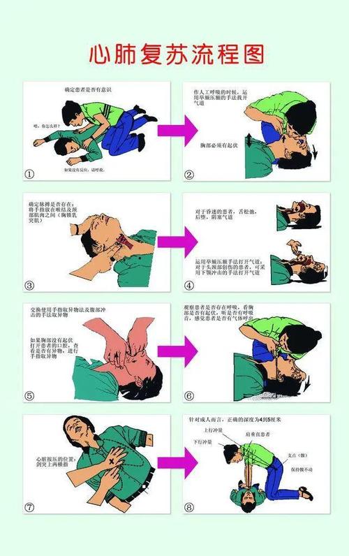 基本急救常识培训,日常急救常识培训-第2张图片-牛逼常识网 基本急救常识培训,日常急救常识培训-第2张图片-牛逼常识网