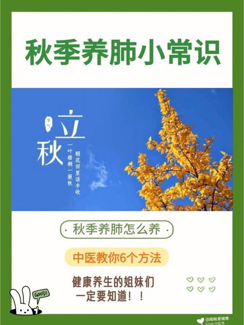 肺部护理常识,肺部的护理-第4张图片-牛逼常识网 肺部护理常识,肺部的护理-第4张图片-牛逼常识网