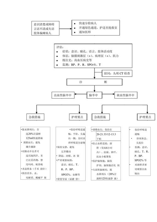 脑卒中急救处理流程图（急性脑卒中的识别和急救流程）