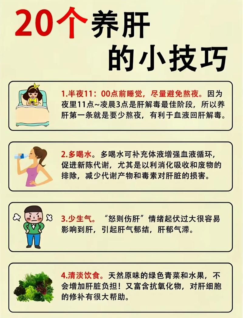 养肝护肝小常识 - 养肝护肝小常识大全-第3张图片-牛逼常识网 养肝护肝小常识 - 养肝护肝小常识大全-第3张图片-牛逼常识网