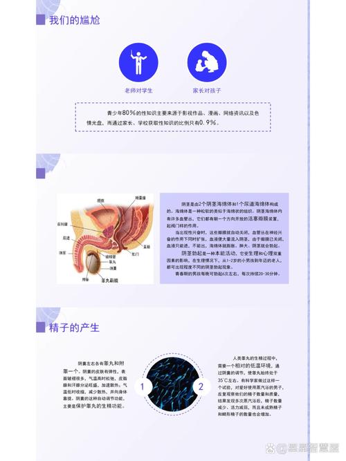 青春期的生理卫生常识 - 青春期的生理卫生常识有哪些-第5张图片-牛逼常识网 青春期的生理卫生常识 - 青春期的生理卫生常识有哪些-第5张图片-牛逼常识网