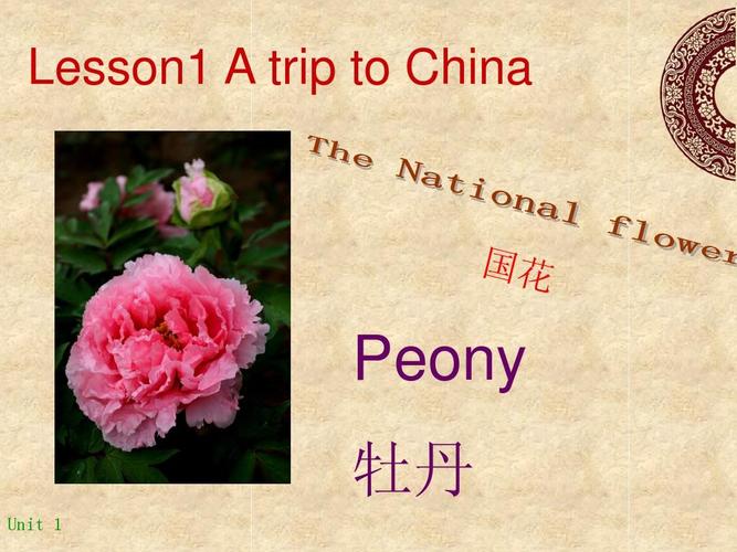 牡丹英文常识,牡丹英文常识大全-第1张图片-牛逼常识网 牡丹英文常识,牡丹英文常识大全-第1张图片-牛逼常识网