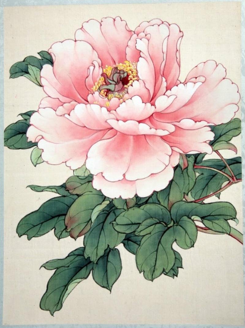 牡丹英文常识,牡丹英文常识大全-第5张图片-牛逼常识网 牡丹英文常识,牡丹英文常识大全-第5张图片-牛逼常识网