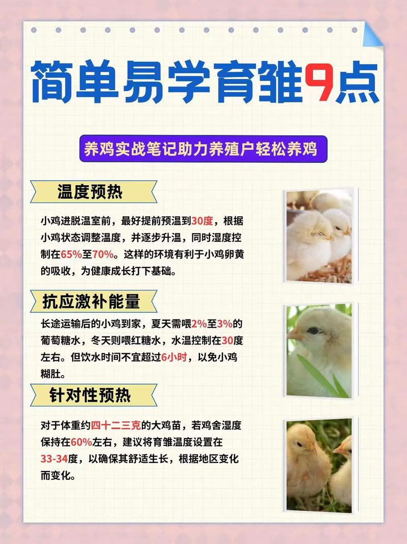 养小鸡的常识,养小鸡的常识是什么-第2张图片-牛逼常识网 养小鸡的常识,养小鸡的常识是什么-第2张图片-牛逼常识网