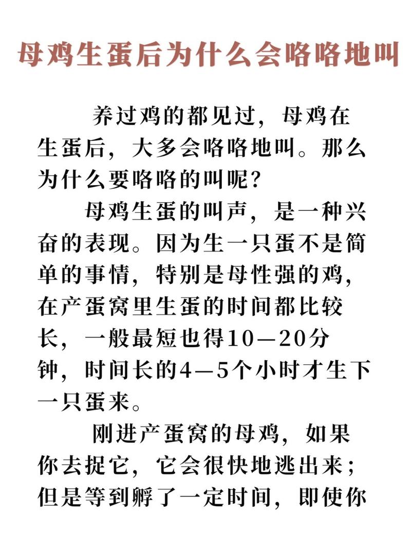 养小鸡的常识,养小鸡的常识是什么-第3张图片-牛逼常识网 养小鸡的常识,养小鸡的常识是什么-第3张图片-牛逼常识网