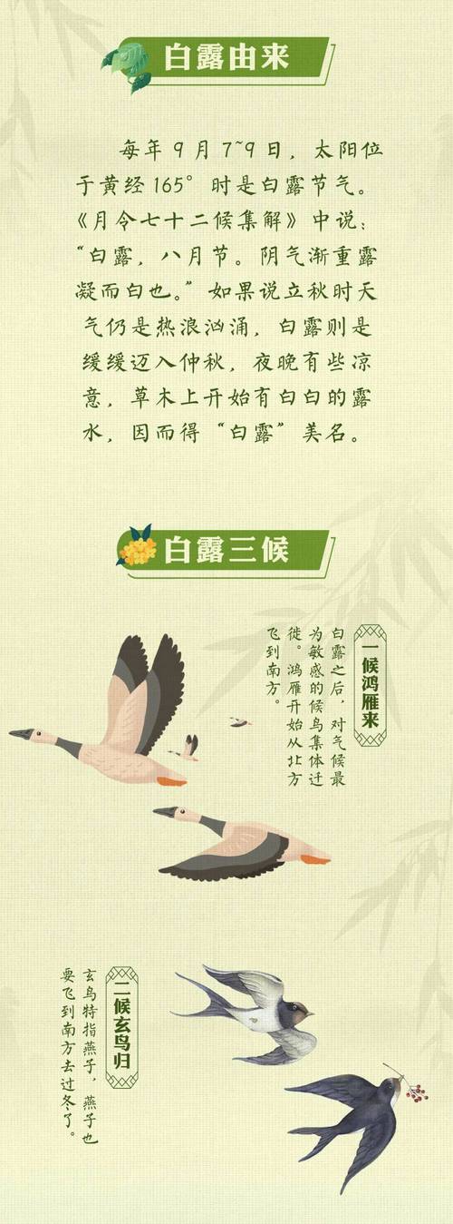 白露农耕常识(白露农业谚语)-第7张图片-牛逼常识网 白露农耕常识(白露农业谚语)-第7张图片-牛逼常识网