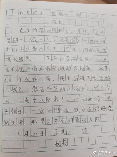 方方日记常识(方方日记讲了啥)-第1张图片-牛逼常识网 方方日记常识(方方日记讲了啥)-第1张图片-牛逼常识网