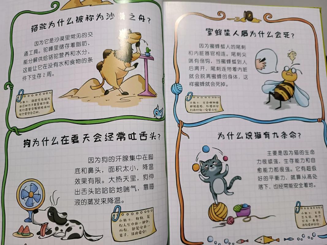 幼儿认知常识(幼儿认知小百科)-第5张图片-牛逼常识网 幼儿认知常识(幼儿认知小百科)-第5张图片-牛逼常识网