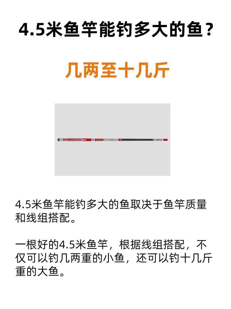 鱼竿使用常识(鱼竿使用常识介绍)-第1张图片-牛逼常识网 鱼竿使用常识(鱼竿使用常识介绍)-第1张图片-牛逼常识网