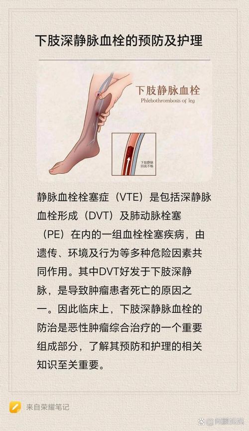 毛细血管常识(毛细血管五大特点)-第2张图片-牛逼常识网 毛细血管常识(毛细血管五大特点)-第2张图片-牛逼常识网
