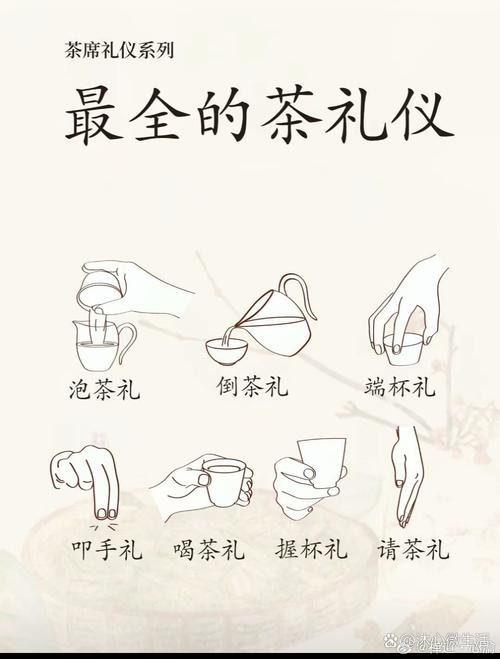 喝茶礼仪常识推荐 - 喝茶基本礼仪教程视频-第5张图片-牛逼常识网 喝茶礼仪常识推荐 - 喝茶基本礼仪教程视频-第5张图片-牛逼常识网