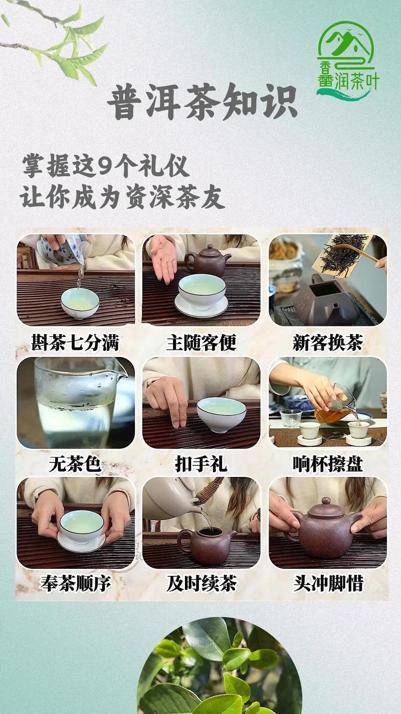喝茶礼仪常识推荐 - 喝茶基本礼仪教程视频-第7张图片-牛逼常识网 喝茶礼仪常识推荐 - 喝茶基本礼仪教程视频-第7张图片-牛逼常识网